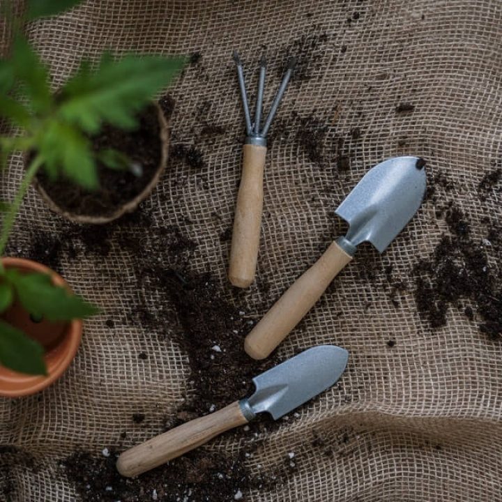 gardening-tools gardening-tools